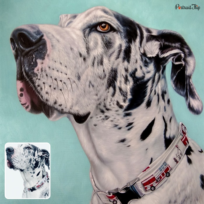 Picture of a dog’s side face that is converted into oil paintings