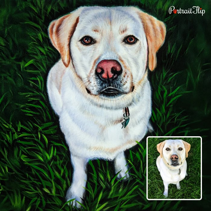 labrador pastel portrait
